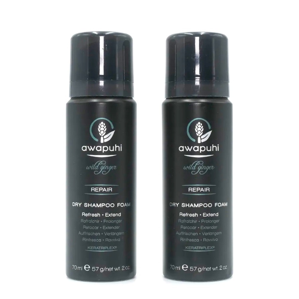 PAUL MITCHELL Awapuhi Wild Ginger Dry Shampoo Foam 2 oz (Pack of 2)